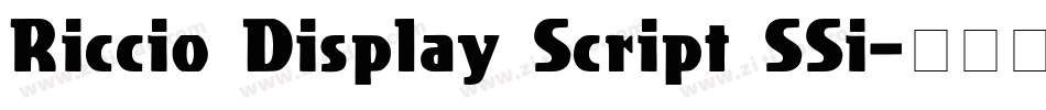 Riccio Display Script SSi字体转换